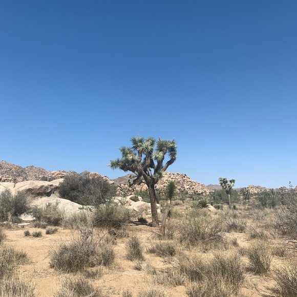 Meet your Posher, Miranda - Picture 3 of 6